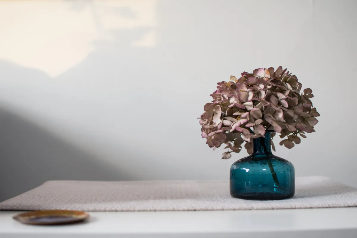 Hortensie auf einem Sideboard im Praxisraum